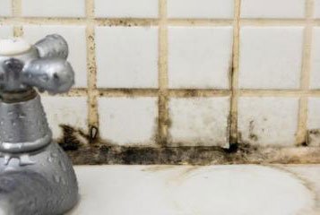 Mold in grout behind faucet in bathroom sink