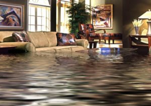 flooded basement